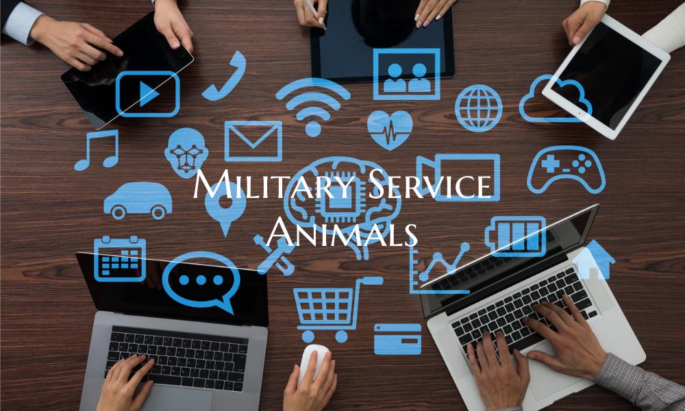 Military Service Animals